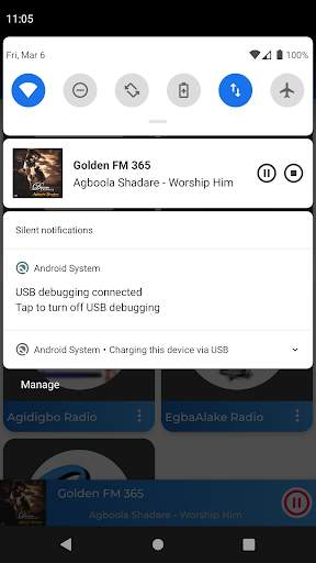 Yoruba Radio Free screenshot 4