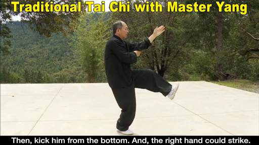 Yang Tai Chi for Beginners 2&3 screenshot 6