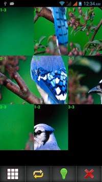 Birds Puzzle screenshot 1