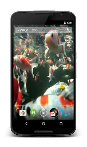 Koi HD Video Live Wallpaper screenshot 1