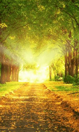 Best Scenery Live Wallpaper screenshot 4