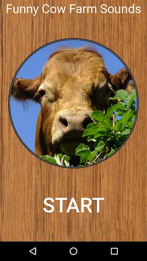 Funny Cow Farm Sounds screenshot 1