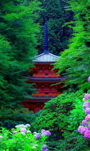 Garden Wallpaper screenshot 8