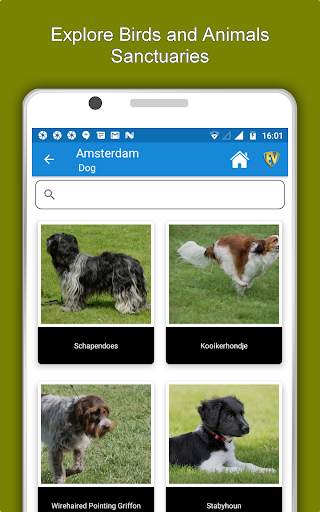 Amsterdam Travel & Explore, Offline City Guide screenshot 13