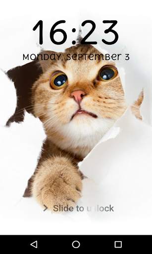 Funny Lock Screen Pattern Passcode 2018Wallpapers screenshot 7
