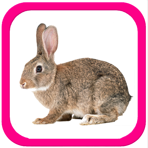 Учим животные для малышей icon