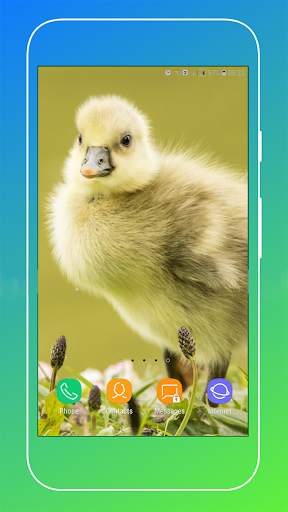 Duck Wallpaper screenshot 4