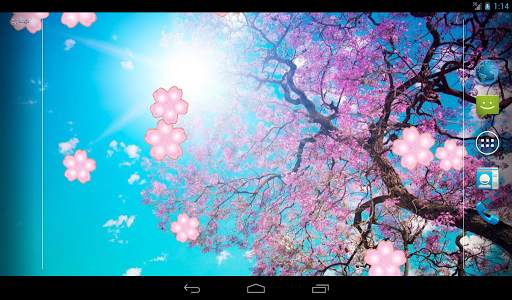 Japanese Sakura Garden Video Wallpapers Gallery screenshot 6