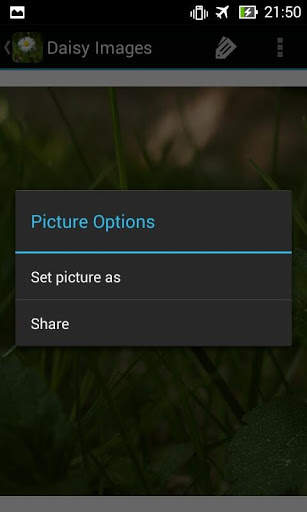 DaisyBG: Flower Wallpaper screenshot 5