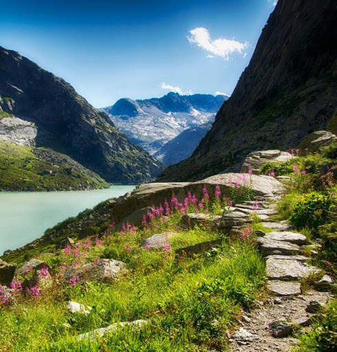 Nature Wallpaper screenshot 12