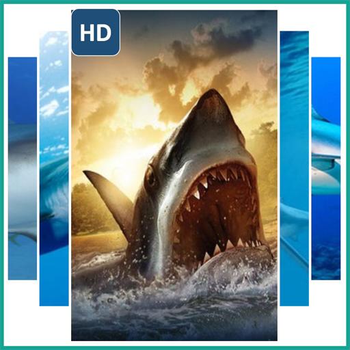 Shark Wallpaper Live icon