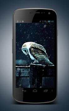 Hedwig Owl Animated Wallpaper 2 تصوير الشاشة