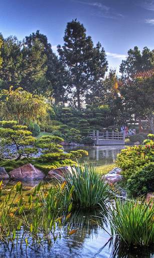 Garden Live Wallpaper screenshot 2