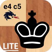 Combinations in the Dragon Lite