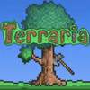 Terraria 1.4.4.9.5