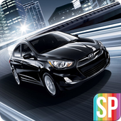 Crazy Car Driver icon