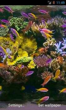 Aquarium screenshot 3