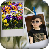 Pin Photo Frames icon
