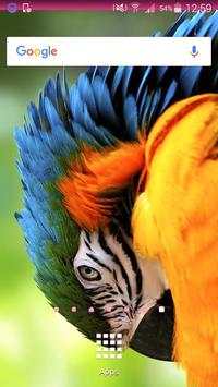 Parrot Wallpapers screenshot 1