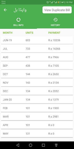 Electricity Bill Viewer App screenshot 3