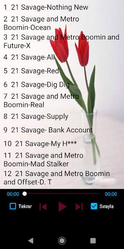 21 Savage Popular Songs Offline screenshot 1