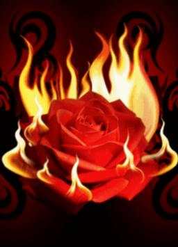 Animated Images Gif скриншот 3