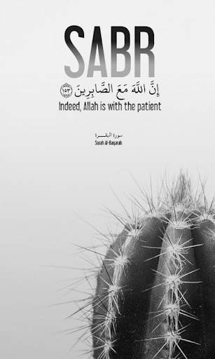 Islamic Quotes And DP screenshot 8