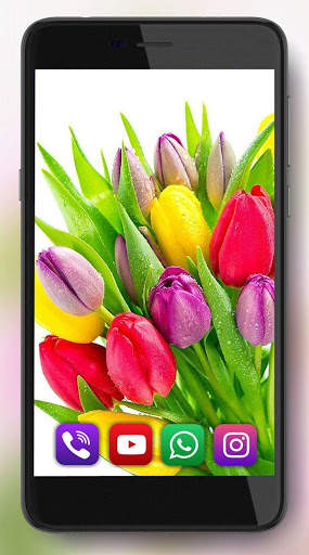 Spring Flowers Live Wallpaper screenshot 5