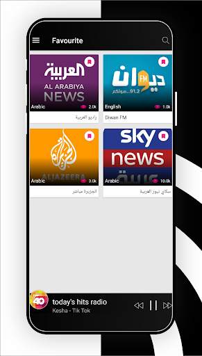 Radio Ly screenshot 3