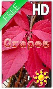 Autumn Grapes LWP screenshot 1