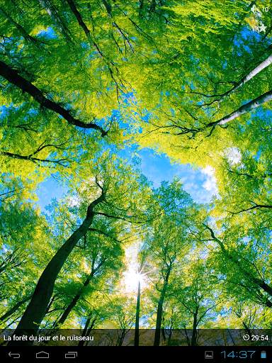 Sons de la nature - Lite screenshot 4
