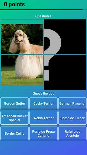 Dog Quiz: Guess the Breed — Game, Pictures, Test screenshot 6