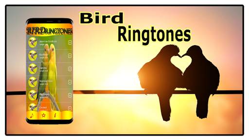 Bird Sounds Ringtones Free screenshot 5