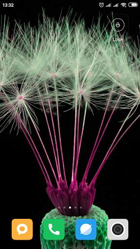 Dandelion Wallpaper HD screenshot 14
