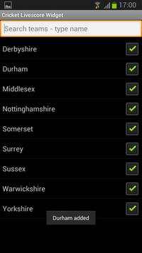 Cricket Livescore Widget screenshot 7