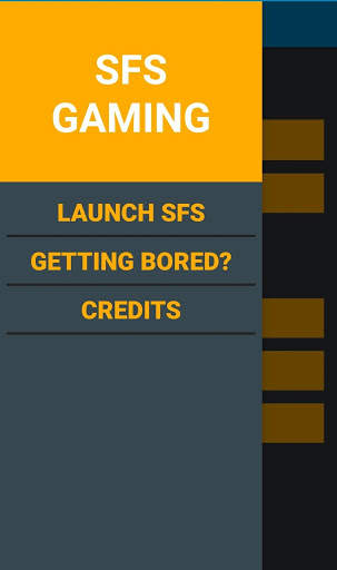 SFS GAMING BP screenshot 9