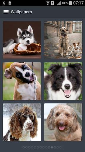 Dog Wallpapers screenshot 1