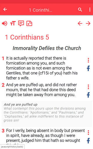 NRSV Bible app screenshot 22