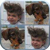 Photo Memory, Play Your Cards 2.9