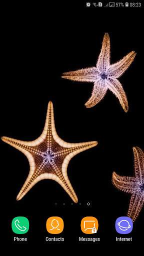 Starfish Wallpaper screenshot 16