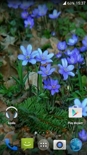 Forest flowers Video Wallpaper screenshot 1
