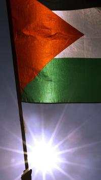 Palestine Wallpapers HD screenshot 2