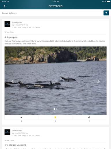 Iceberg Alley - Sightings screenshot 6