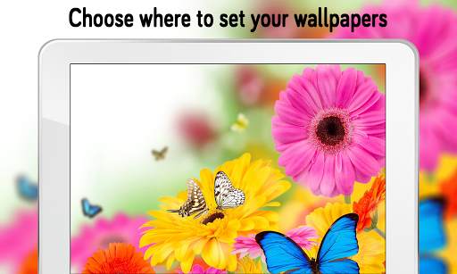 Flower Wallpaper (4k) screenshot 11