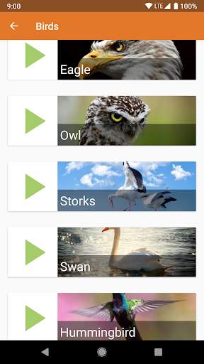 Animal Ringtones & Sounds screenshot 8