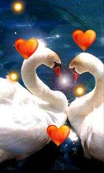 Valentine Birds live wallpaper screenshot 1