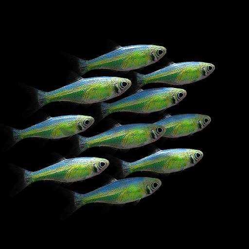 NANO AQUARIUM Free 1.3