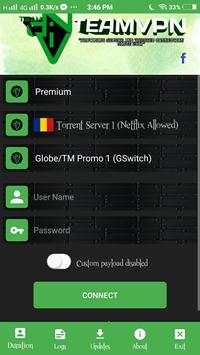 Team VPN screenshot 2