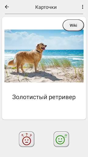 Собаки - Фото-тест про популярные породы собак скриншот 5