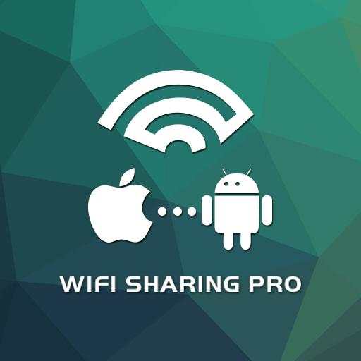 WiFi File Share Pro with iOS 3.6
